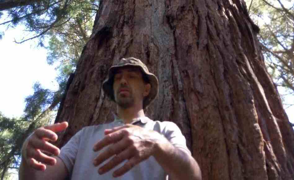 <span style="font-weight: bold;">О ИНСТРУКТОРЕ</span><br>